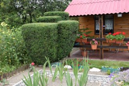 Ogrody_Piekut_2020 (8)
