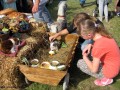 I Festiwal Sołectw_14.09.2014r. (47)