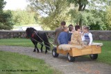Dożynki parafialne w Krysku_2010_086