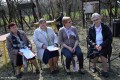 IV Bieg Wiosny_2019 (233)