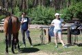 Zawody TREC_12_13 (49)