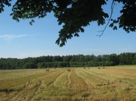 Lato Mariusz Jeziak1