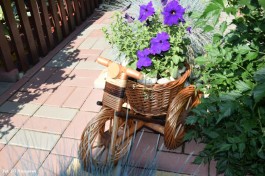 Ogródek_Kuźniewski_2021 (6)
