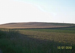 Lato Grażyna Kłosiewicz2
