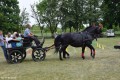 Dzień Dziecka w Krysku_04.06.2017r (134)