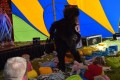 Ekologiczny piknik rodzinny_21_05_2023 (147)