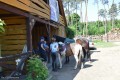 Zawody TREC_12_13 (23)