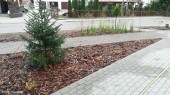 Skwerek_odbiór_14.09 (7)