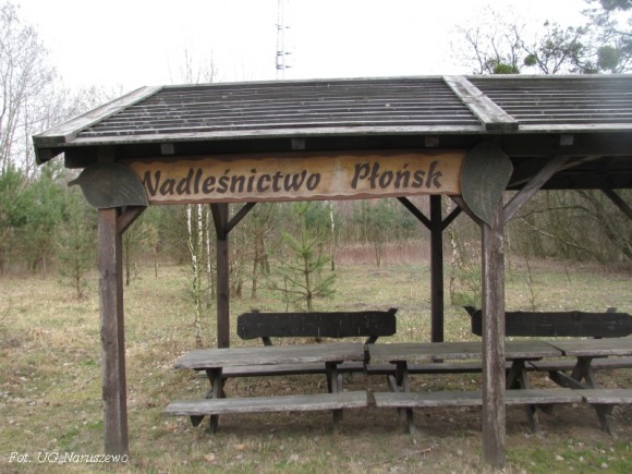 Zdjęcia z trasy biegu (7)