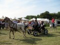 I Festiwal Sołectw_14.09.2014r. (120)