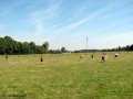 IV Turniej Piłkarski o Puchar Wójta Gminy Naruszewo_2012 (70)