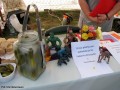 I Festiwal Sołectw_14.09.2014r. (62)