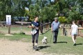 Zawody TREC_12_13 (68)