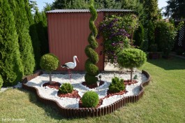 Ogródek_Kaźmierczak_2021 (3)