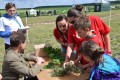 Mazowieckie Dni Rolnictwa 2016 (145)
