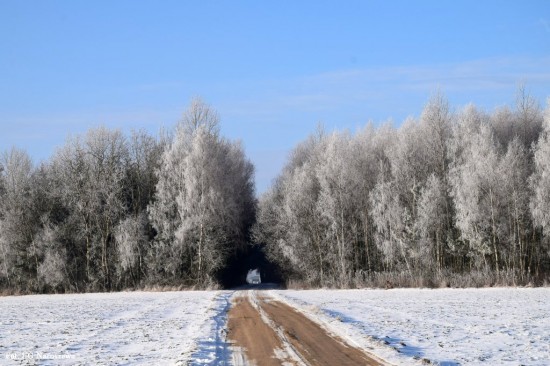 Zima_szron_16_02_2021 (22)