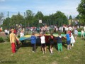 Festyn z okazji Gminnego Dnia Dziecka_01.06.2015r. (169)