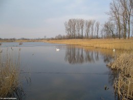 Gminne pejzaże - Sosenkowo (1)