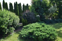 Ogrody_Dumińska_Kierska_2020 (8)