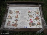 Montaż tablic_2011 (2)