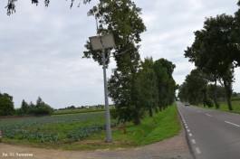 Zakup i montaż oświetlenia ulicznego w Skwarach_2020 (2)