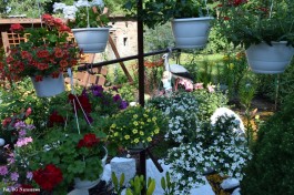 Ogródek_Krajewska_2021 (17)
