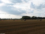 Gminne pejzaże - Wróblewo (6)