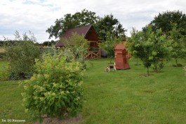 Ogrody_Ambroziak_2020 (8)