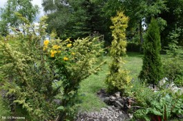 Ogrody_Sarzała_2020 (17)
