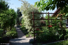 Ogródek_Jabłoński_2021 (8)