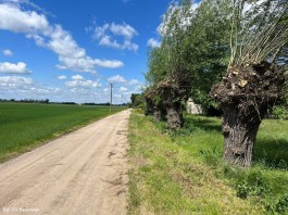 Rozbudowa drogi gminnej w miejscowości Troski i Skwary, gmina Naruszewo_27_05_2022 (3)