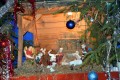 Koncert kolęd i pastorałek_17.12 (17)