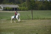 Zawody TREC PTTK_12.05 (10)