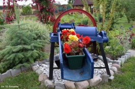 Ogrody_Ambroziak_2020 (19)