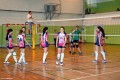 Międzyszkolny turniej piłki siatkowej_2016 (68)