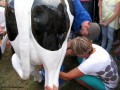 I Festiwal Sołectw_14.09.2014r. (291)