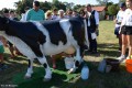 Festyn Rodzinny w Krysku_24.08 (11)