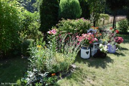 Ogródek_Śmietanowska_2021 (8)