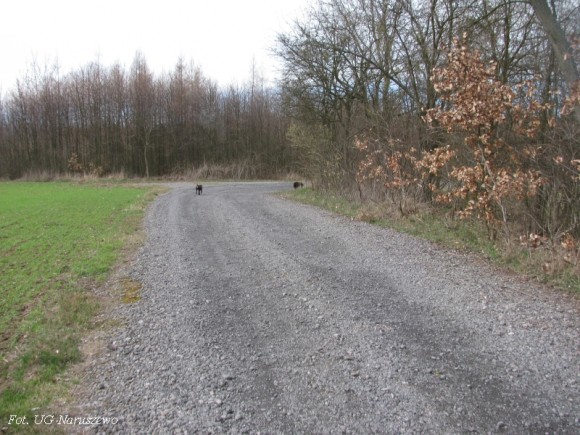 Zdjęcia z trasy biegu (3)