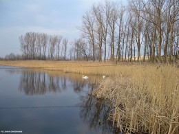 Gminne pejzaże - Sosenkowo (3)