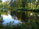 Gminne pejzaże - Wróblewo (27)