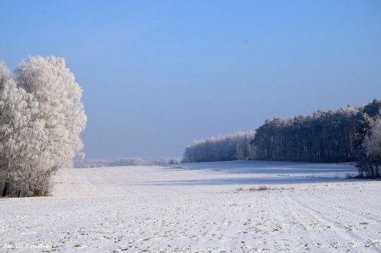 Zima_szron_16_02_2021 (31)