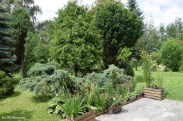Ogrody_Sarzała_2020 (37)