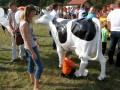 I Festiwal Sołectw_14.09.2014r. (181)