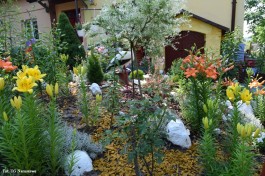 Ogródek_Krajewska_2021 (5)