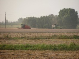 Lato Mariusz Piątkowski1