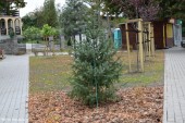Skwerek_odbiór_27_09 (7)