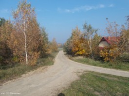 Krysk droga_18.10 (8)