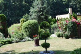 Ogródek_Śmietanowska_2021 (13)