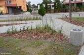 Skwerek_odbiór_27_09 (13)